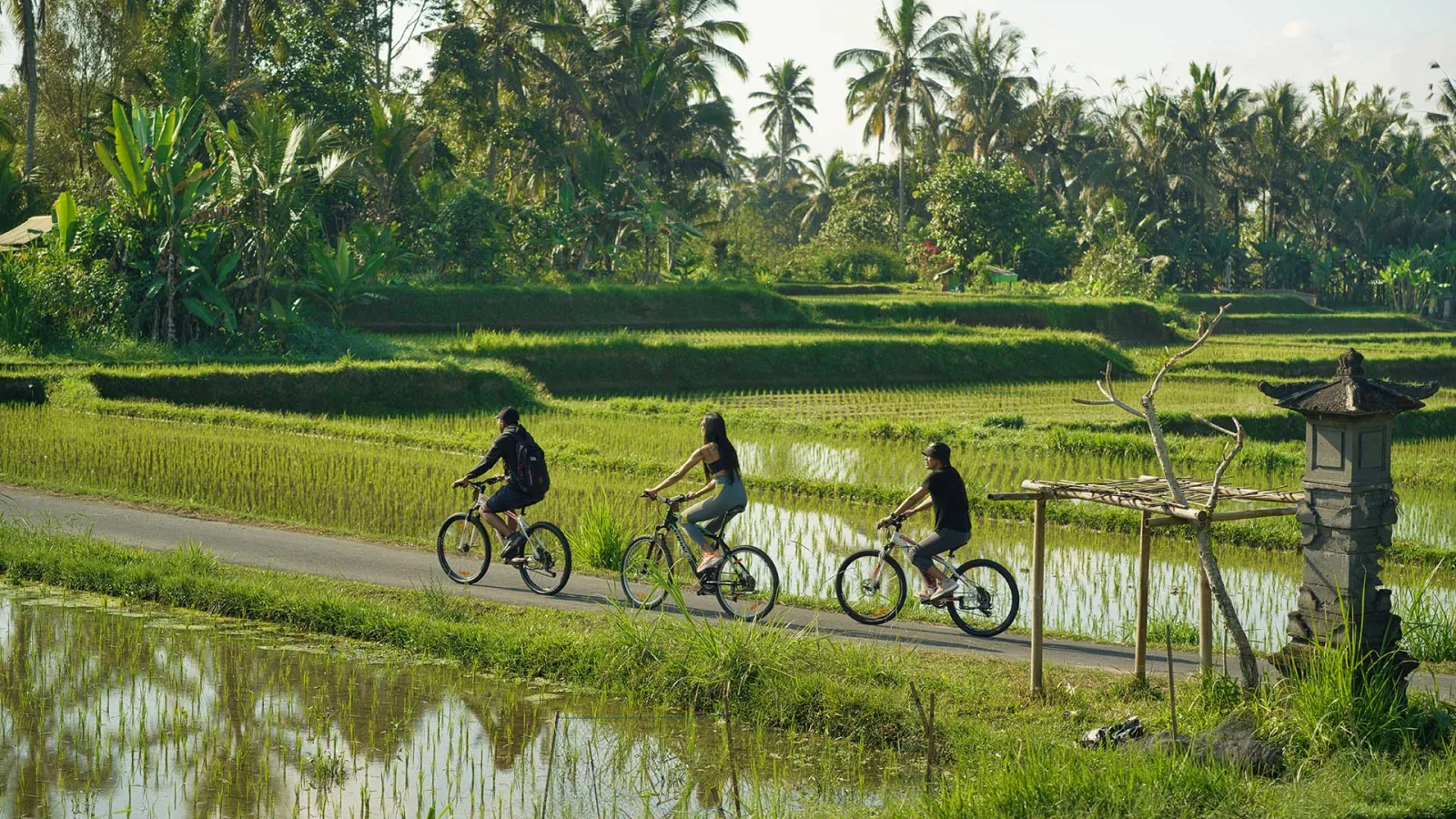 Sunrise Cycling & Foot Massage in Payangan | Nandini Jungle Bali